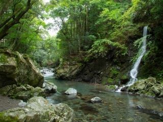 頭之宮四方神社の写真3