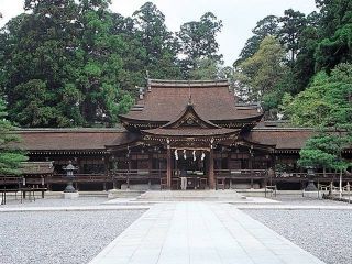 多賀大社の写真２