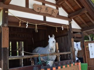 上賀茂神社の写真４