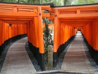 伏見稲荷大社の写真３