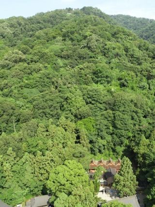 枚岡神社の写真４