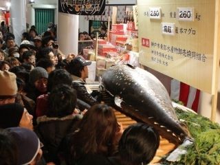 西宮神社の写真４