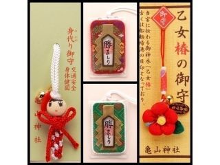 亀山神社の写真４