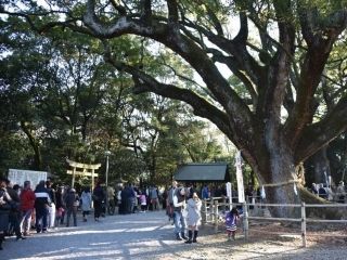 伊曽乃神社の写真１