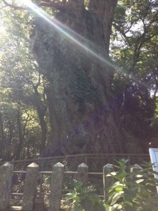 柞原八幡宮の写真２