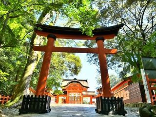 宇佐神宮の写真2