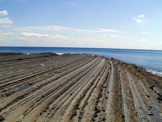 鵜戸神宮の写真３