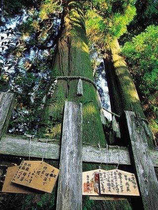 高千穂神社の写真4