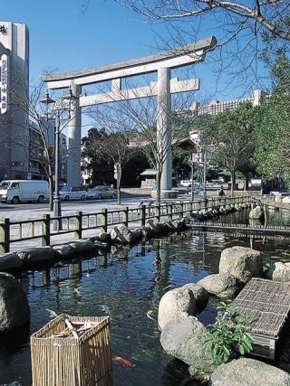 照國神社の写真3