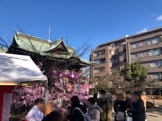 桜神宮の写真１