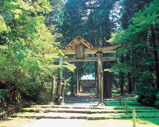 平泉寺白山神社の写真１