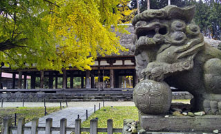 新宮熊野神社の写真１