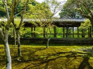 東福寺の写真２