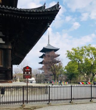 東寺の写真１
