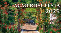 【熱海】600種4,000株が咲き誇るバラの祭典「ACAO ROSE FESTA 2025」4月26日（土）から6月30日（月）の期間で開催