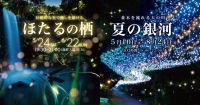 夏のはじまり、ほたると出会う夜。御殿場高原 時之栖で幻想的で癒しを届ける「ほたるの栖」開催決定！
