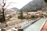 【箱根小涌園ユネッサン】暖かな陽気とともに桜色に染まる箱根小涌園！！春の訪れを感じる「お花見温泉2026」