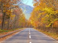 【北海道・弟子屈町】心地よい温もりに満たされ紅葉を愛でる秋の「足湯巡り」