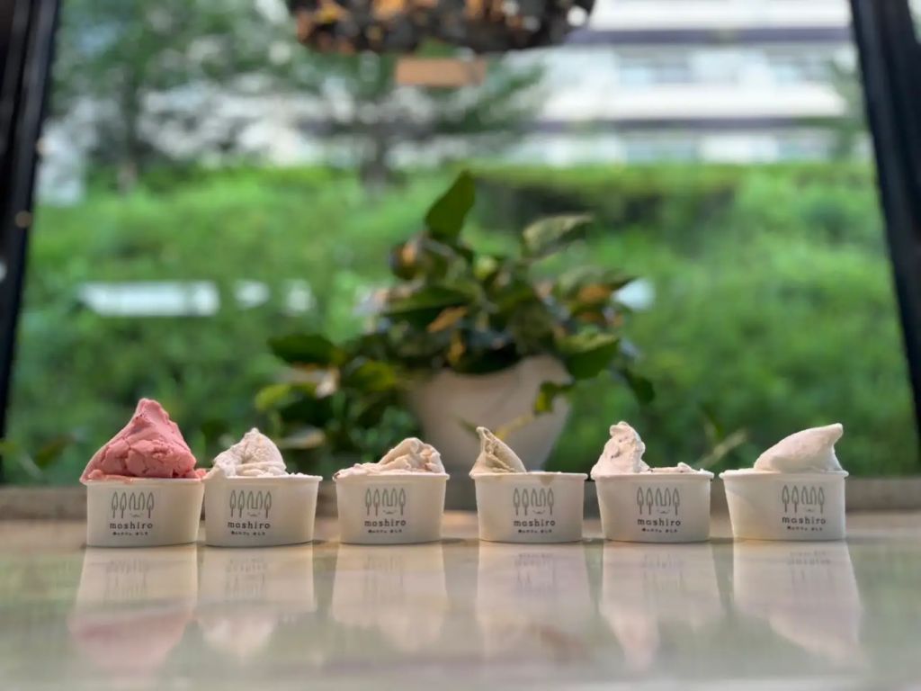 ましこじぇらーと