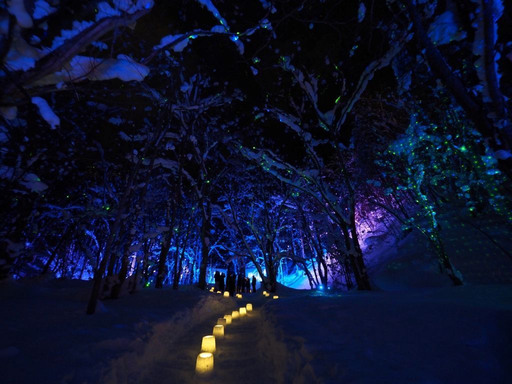 雪灯路（イメージ）3