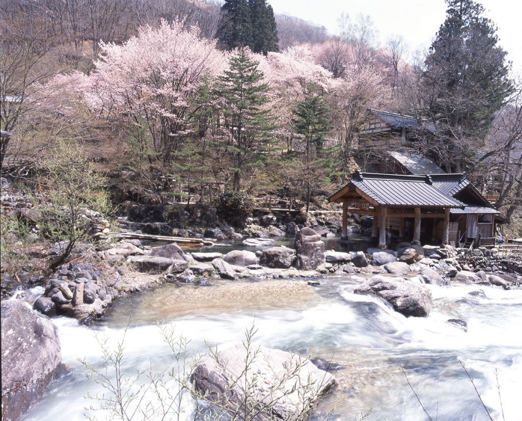 宝川温泉 宝川山荘【群馬県】