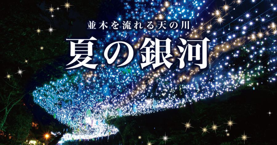 夏の銀河