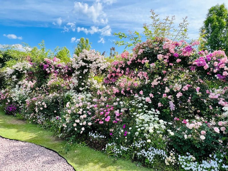 中之条ガーデンズ