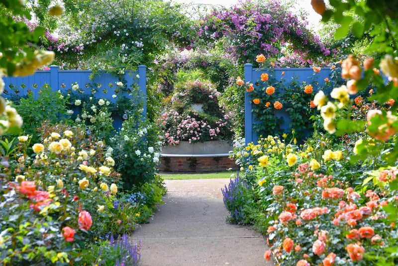 中之条ガーデンズ2