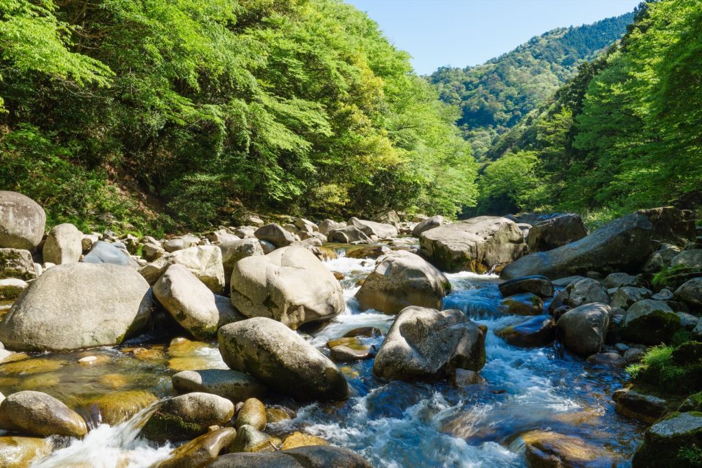 吉井川