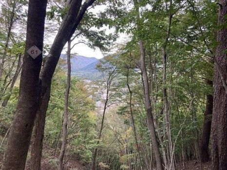 山頂