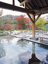 湯けむり屋敷 薬師の湯の写真