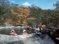 熊の湯温泉の写真