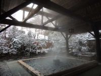 奥那須 大正村幸乃湯温泉の写真