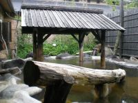縄文天然温泉 志楽の湯