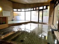 道志川温泉 紅椿の湯の写真
