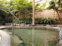 天橋立温泉 智恵の湯の写真