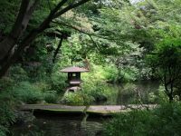 Bade And Natural Hot Springs Toshimaen Niwa No Yu