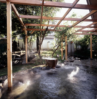 鳥取温泉の写真