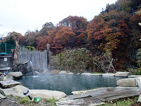 京塚温泉・しゃくなげの湯の写真