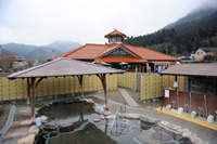 下湯原温泉ひまわり館の写真