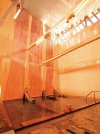 鳴子・早稲田桟敷湯