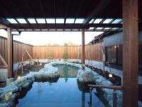 源泉「湯乃庵」