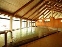 草津温泉 大滝乃湯の写真