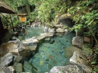 天山湯治郷 ひがな湯治天山の写真