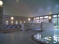 勝山温泉センター水芭蕉の写真