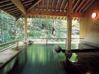 温宿 かじかの写真