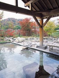 湯けむり屋敷 薬師の湯