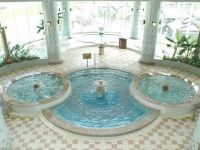 天橋立岩瀧溫泉 岩瀧水療養生館