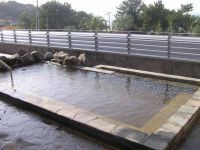 休暇村志賀島温泉「金印の湯」の写真