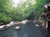 山みず木の写真